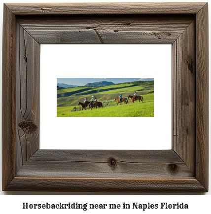 horseback riding near me in Naples, Florida